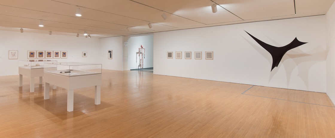 The Dorothy and Herbert Vogel Collection: Fifty Works for Fifty States at MOCA Installation View 01