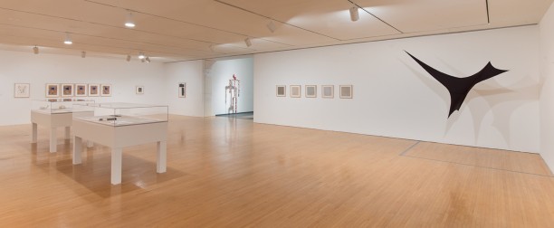 The Dorothy and Herbert Vogel Collection: Fifty Works for Fifty States at MOCA