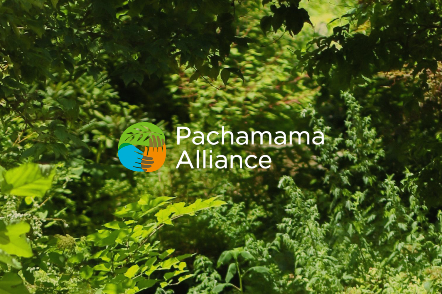 Optimism in Action: a climate solutions workshop with the Pachamama Alliance